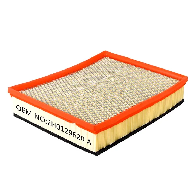 2H0129620A Car air filter