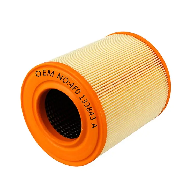 4F0133843A-Audi-A6-Air-Filter