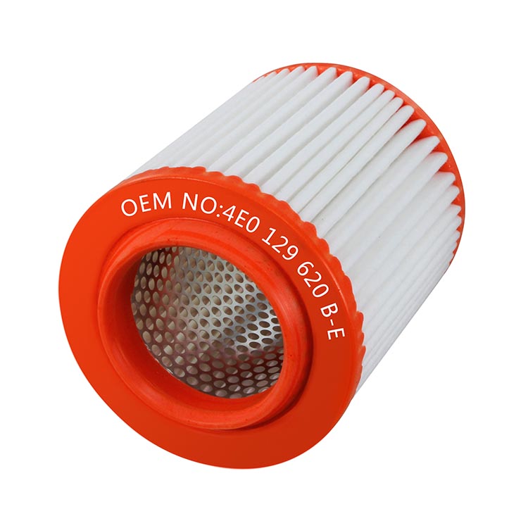 Air Filter Car Part 4E0129620E for Audi A8 (D3) (2)