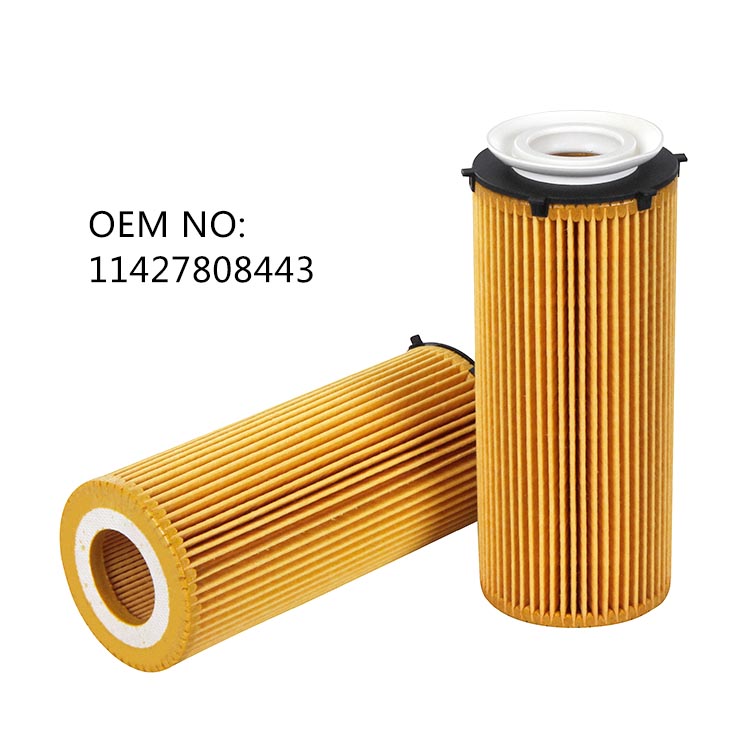 11427808443 BMW F10 Oil Filter For Diesel HU720/3X
