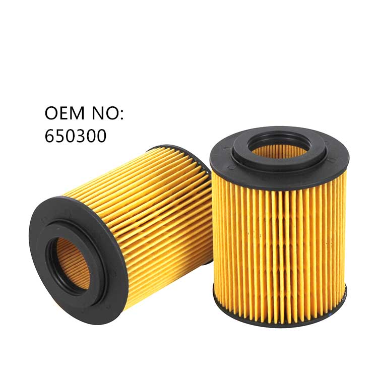 650300 Oil Filter Opel Astra 97223218, HU820x