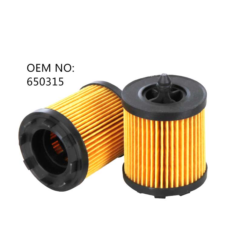 650315 Opel Oil Filter,12605566, HU6007X