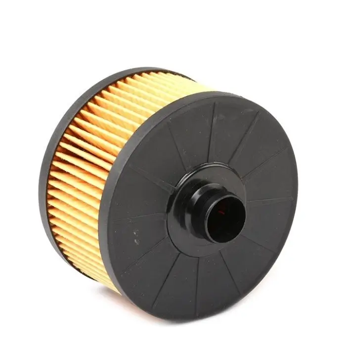 152082327R Renault Oil Filter 1520900Q0F - Buket