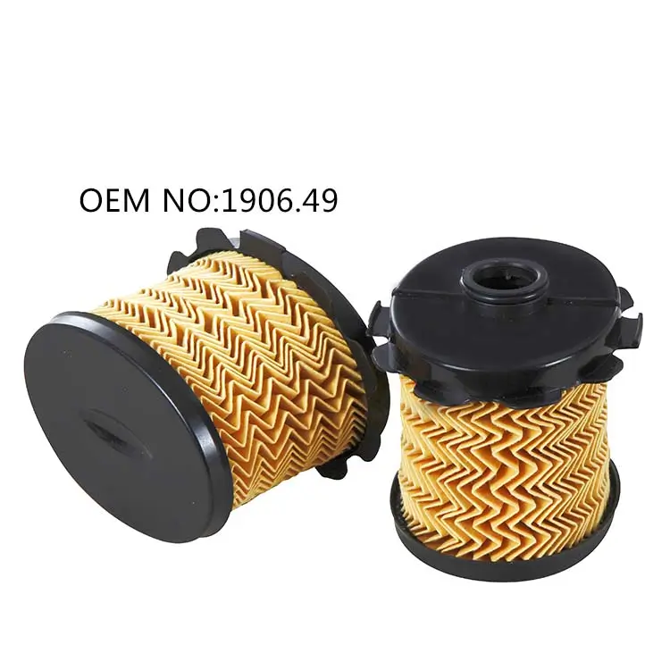 1906A9 Citroen Berlingo Fuel Filter 190648, PU1021x