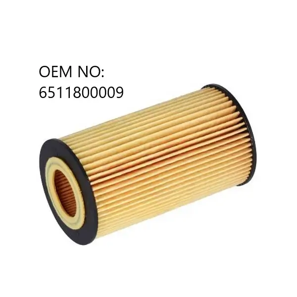 A6511800109 Mercedes C250 Oil Filter