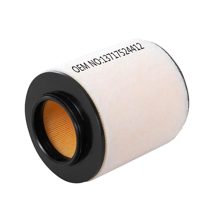 13717524412 BMW E87 Air Filter manufacturer - Buket auto parts