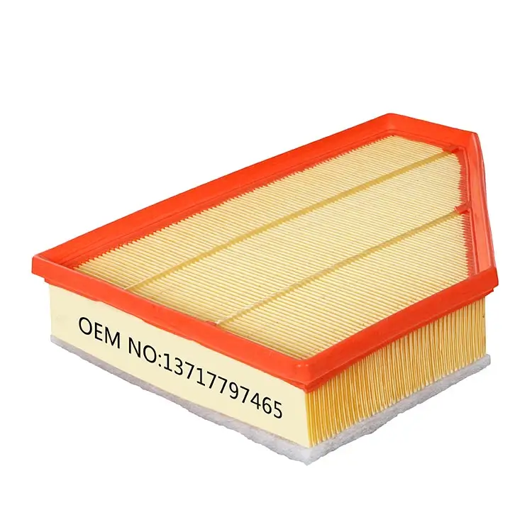 13717797465 BMW 320d Air Filter Supplier - Buket