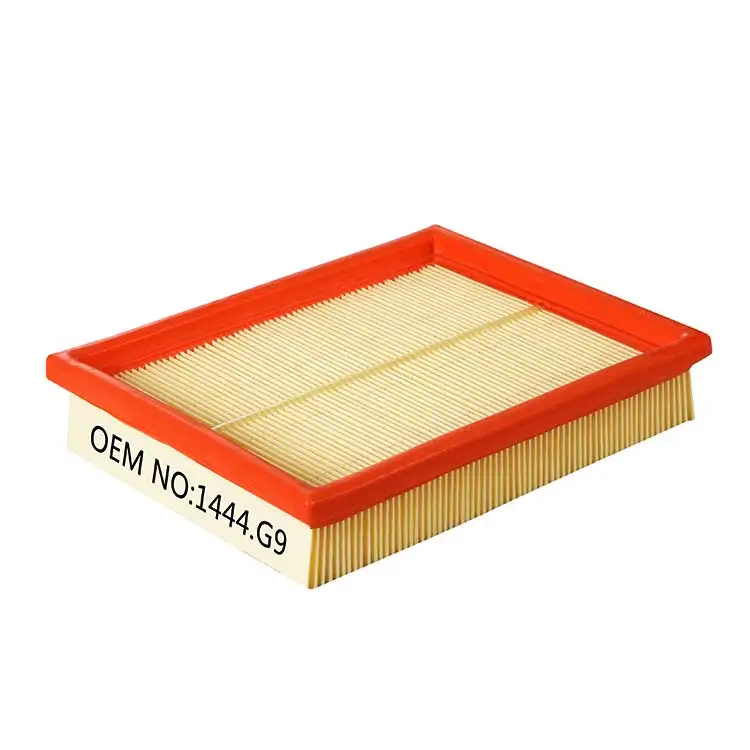 1444G9, 1444.VS Peugeot 206 Air Filter, C2159, LX643