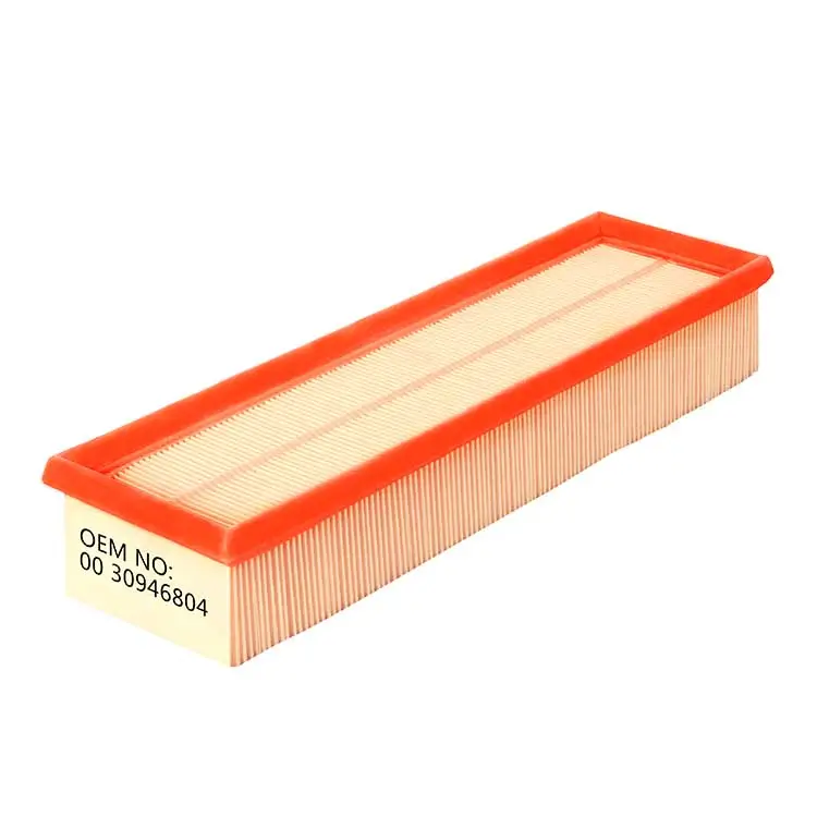 C3484, LX617, E167L, R129 Air Filter 0030946804