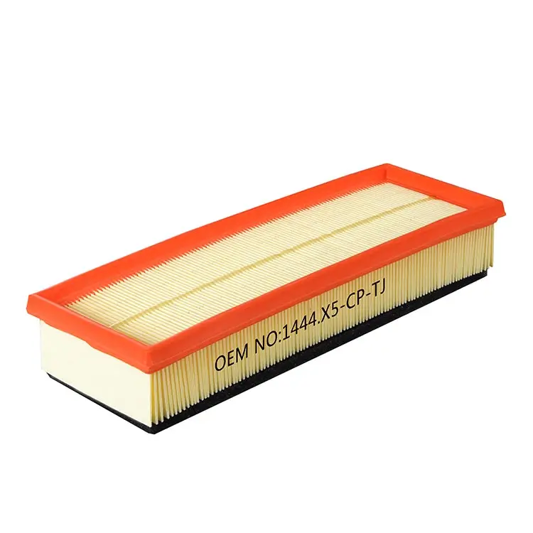 Citroen Air Filter 1444TJ, 1444X5, 1444CP, 13780-73J00